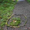 09 b Schluchensteig Etappe 4 - 6